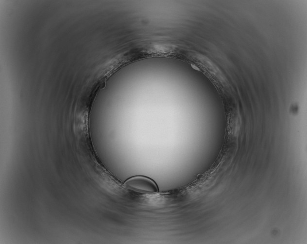 X0000100330425200806121132