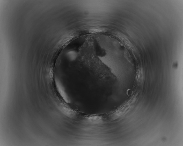 X0000100330426200806121132