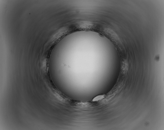 X0000100330428200806121132