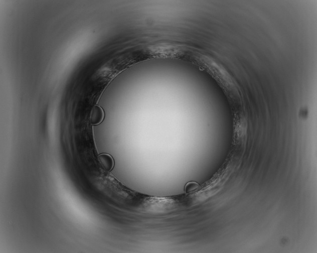 X0000100330429200806121132