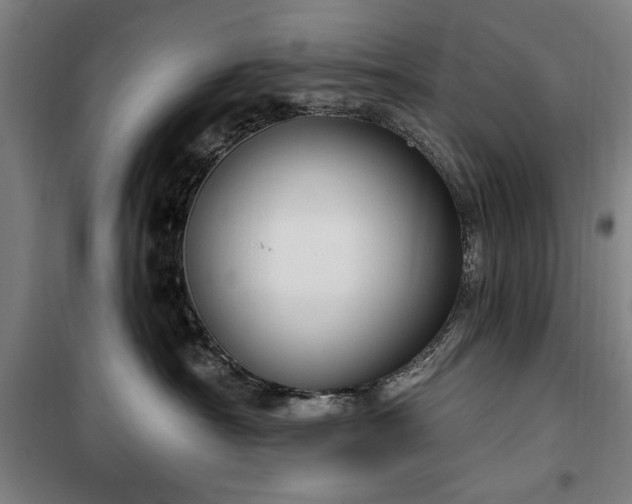 X0000100330430200806121132