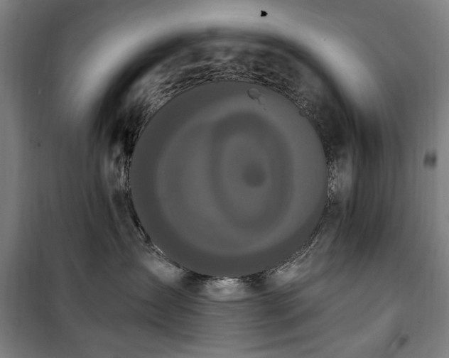 X0000100330431200806121132