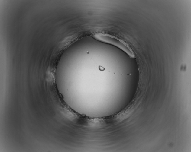 X0000100330432200806121132