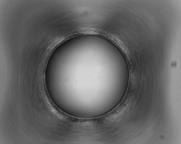 X0000100330433200806121131