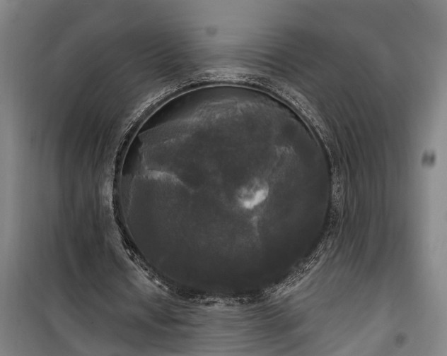 X0000100330434200806121131