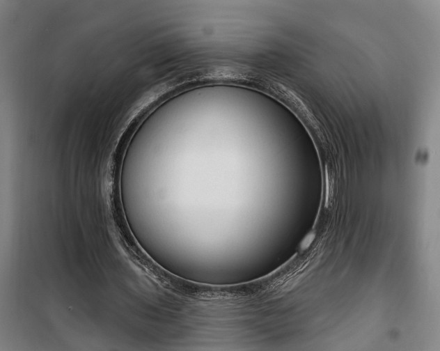 X0000100330435200806121131