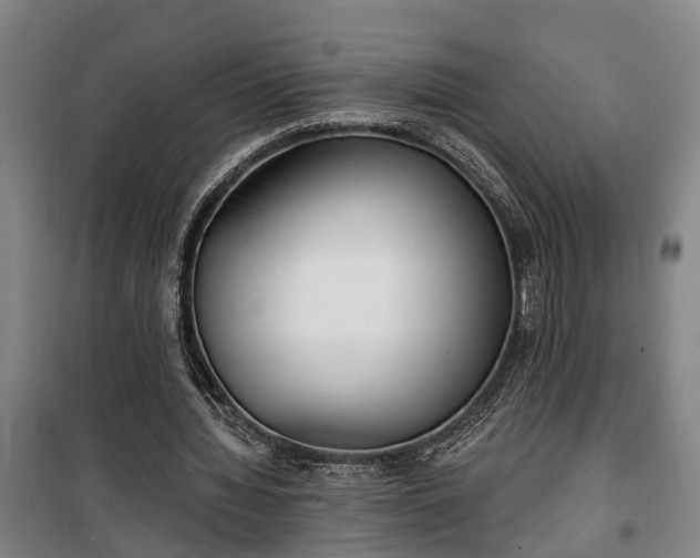 X0000100330436200806121131