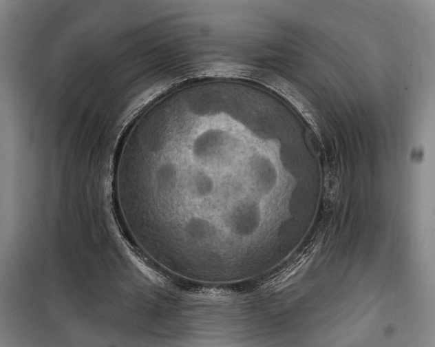 X0000100330437200806121131