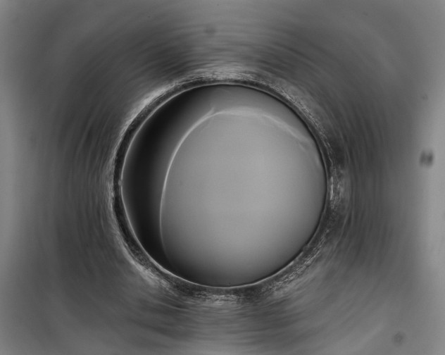 X0000100330438200806121131