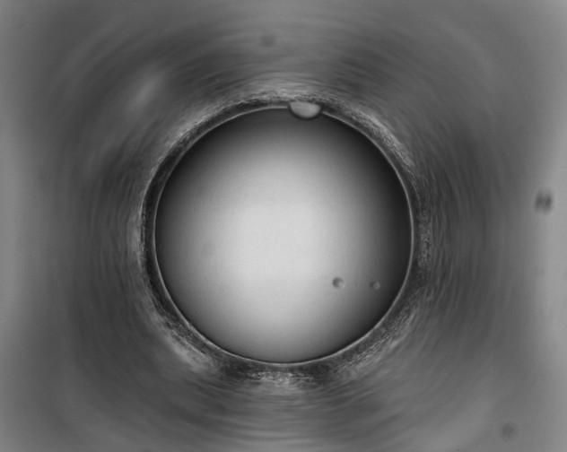 X0000100330439200806121131