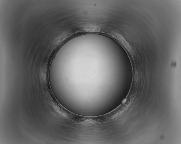 X0000100330441200806121131