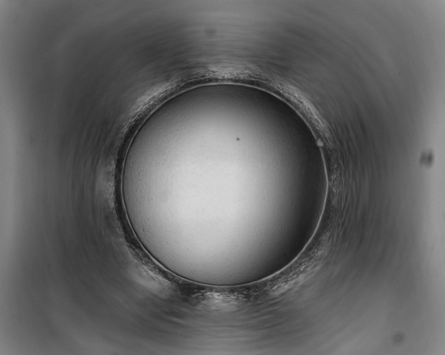 X0000100330442200806121131