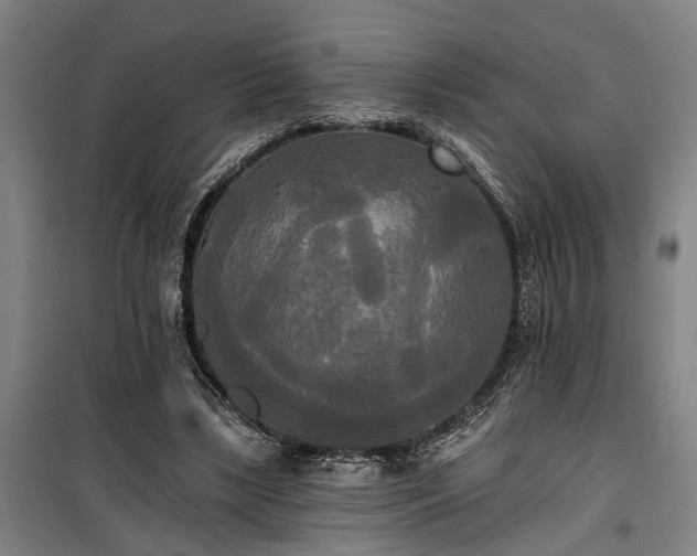 X0000100330443200806121131