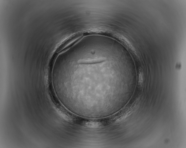 X0000100330444200806121131