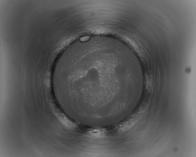 X0000100330447200806121131