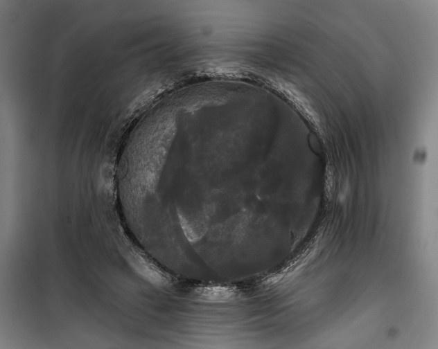 X0000100330449200806121131