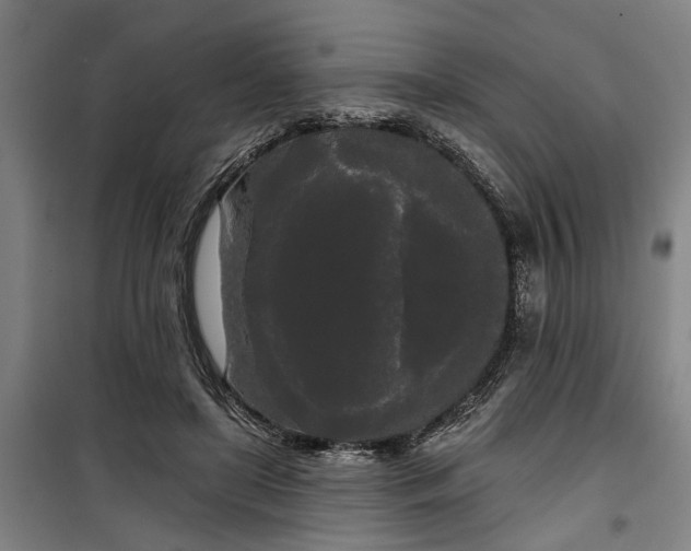 X0000100330451200806121131