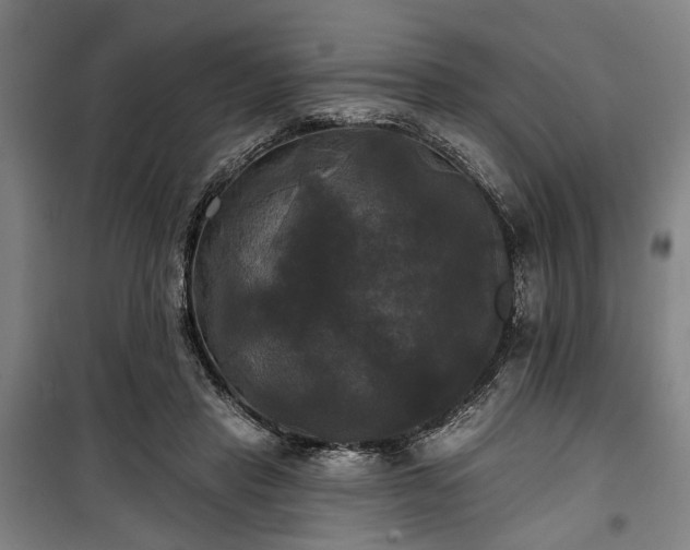 X0000100330453200806121131