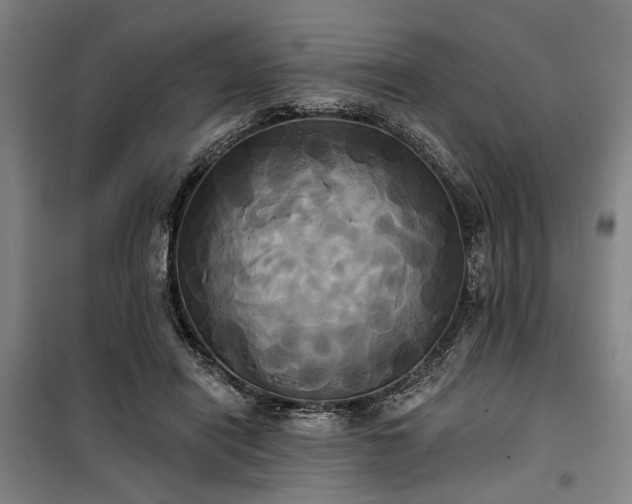 X0000100330454200806121131