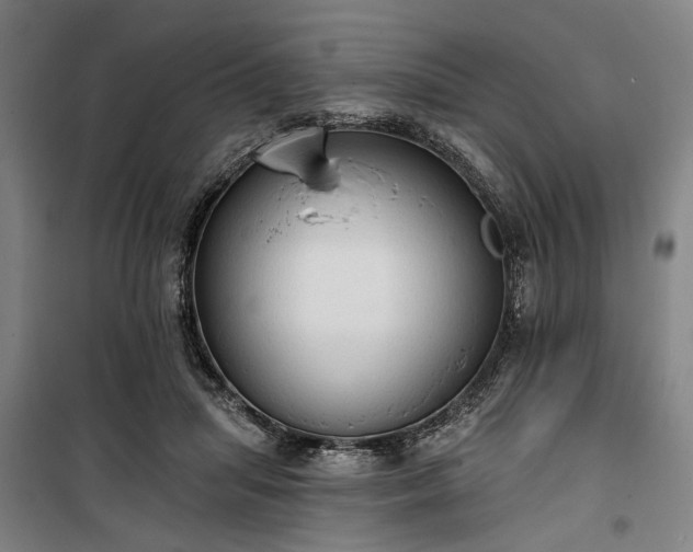 X0000100330455200806121131