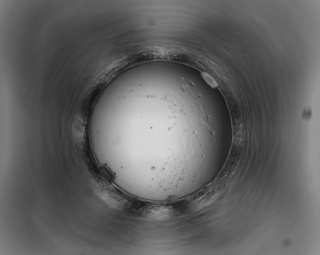 X0000100330456200806121131