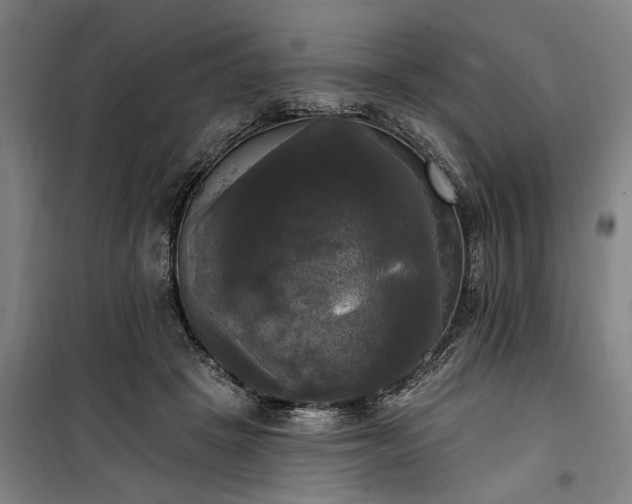 X0000100330457200806121131