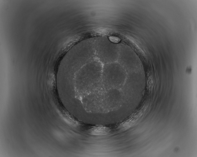 X0000100330459200806121131