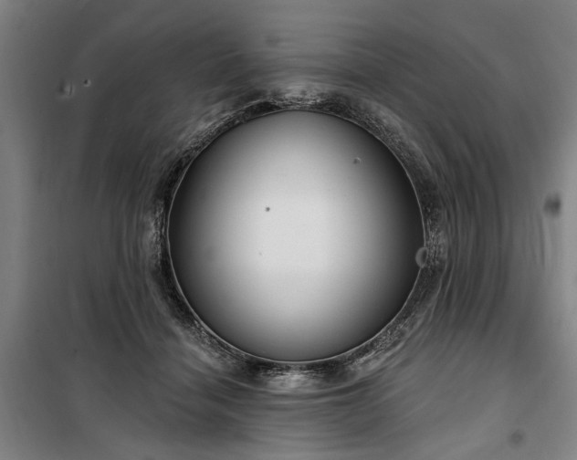 X0000100330460200806121131