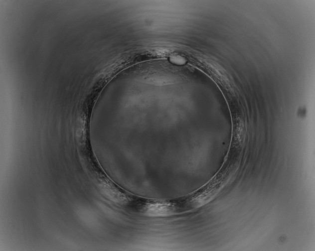 X0000100330461200806121131