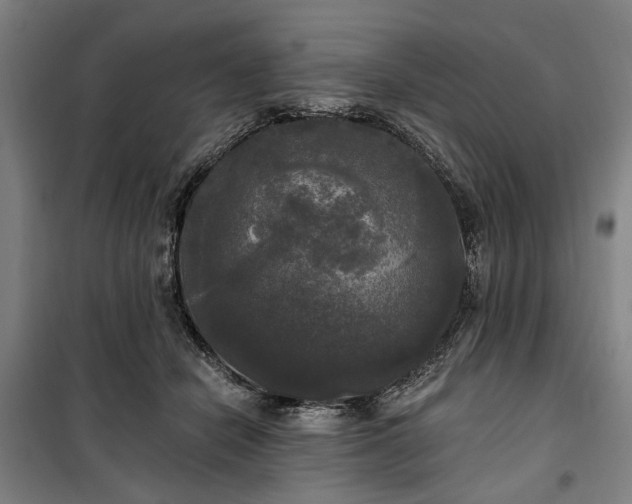 X0000100330462200806121131