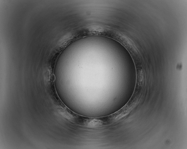 X0000100330463200806121132