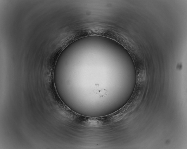 X0000100330464200806121132