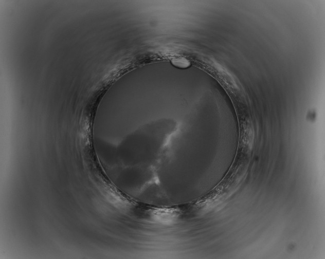 X0000100330465200806121132