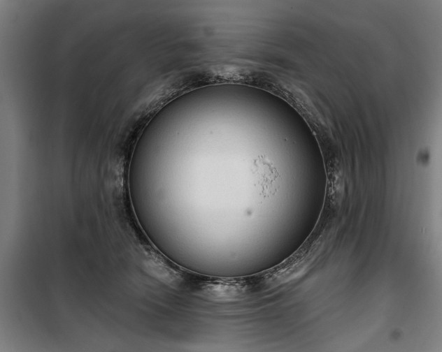 X0000100330466200806121132