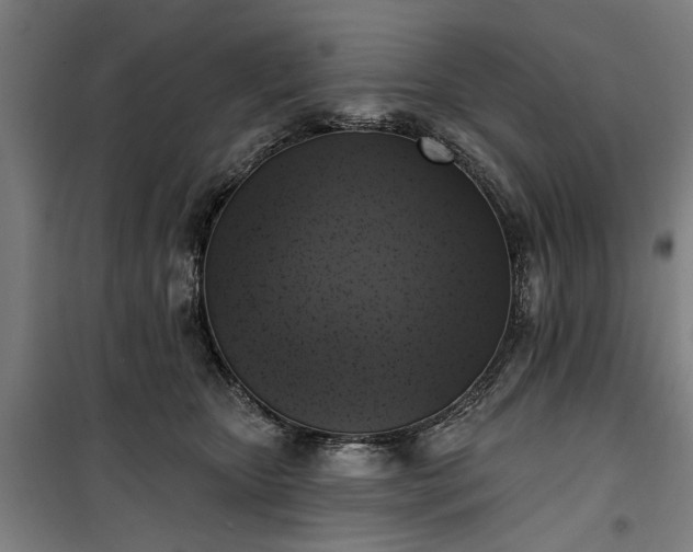 X0000100330467200806121132