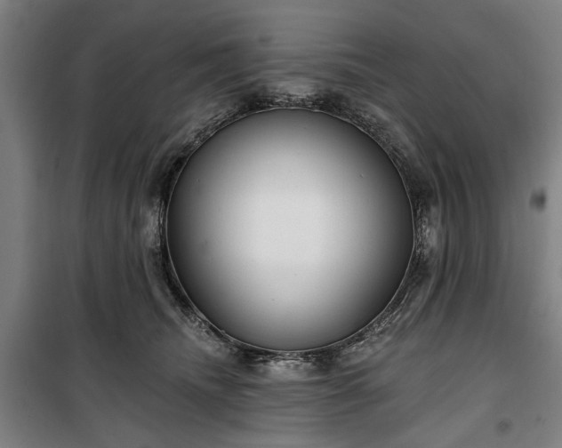 X0000100330468200806121132