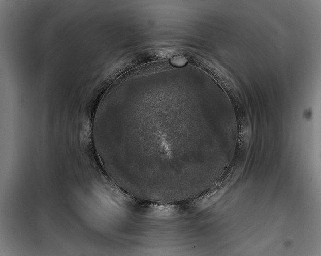 X0000100330469200806121132