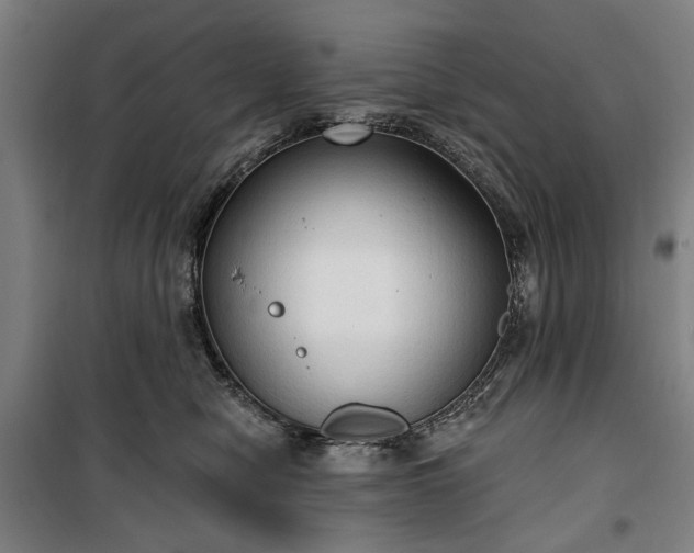 X0000100330470200806121132