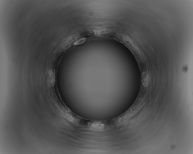 X0000100330471200806121132