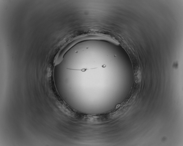 X0000100330472200806121132