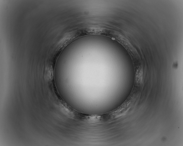 X0000100330474200806121132