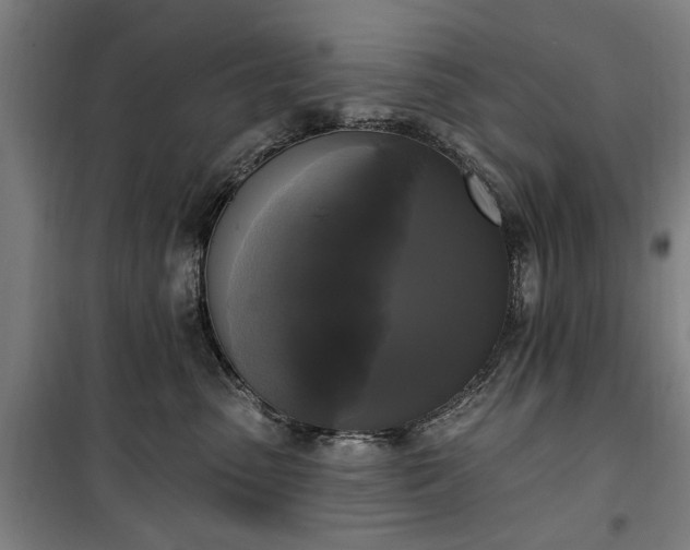 X0000100330475200806121132