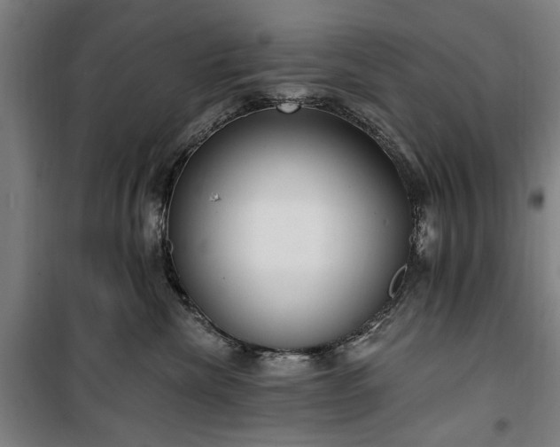 X0000100330476200806121132