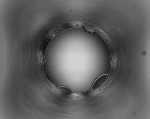 X0000100330477200806121132