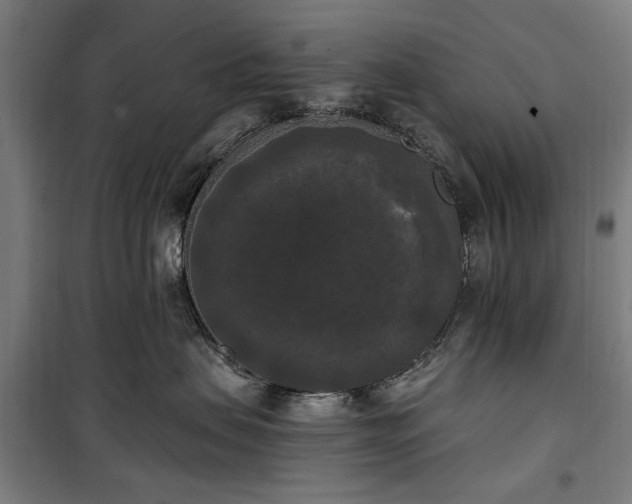 X0000100330479200806121132