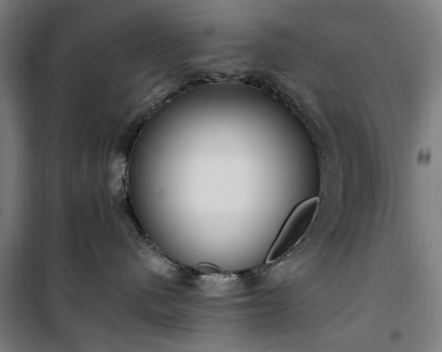 X0000100330480200806121132