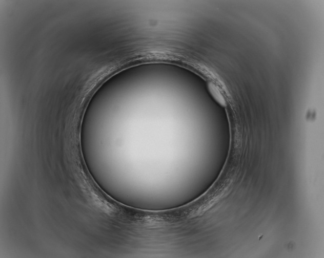 X0000100330481200806121131