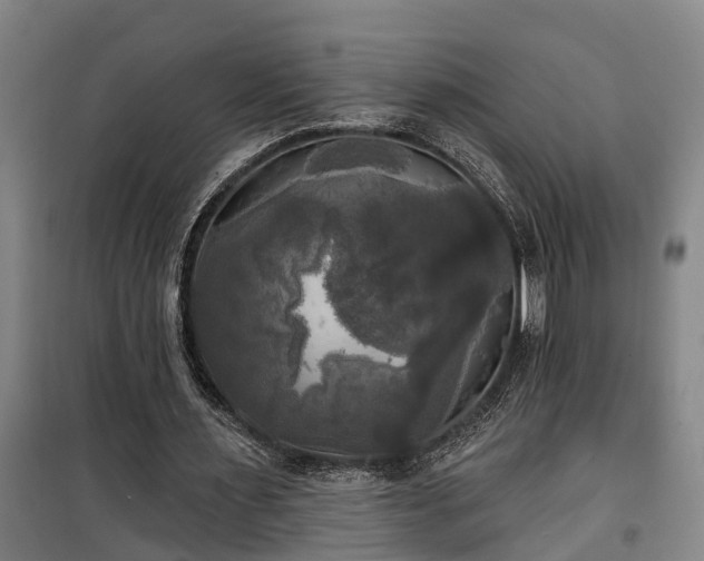 X0000100330483200806121131