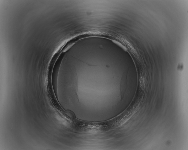 X0000100330484200806121131