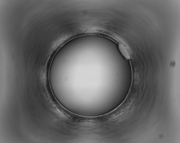 X0000100330485200806121131